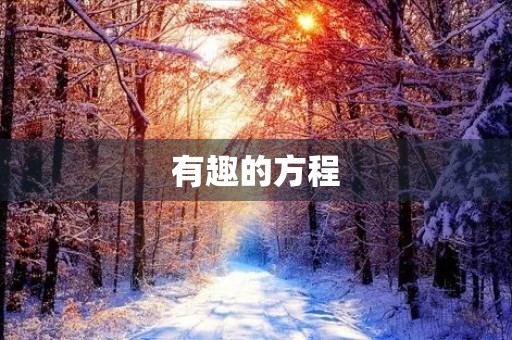 有趣的方程 有趣的方程