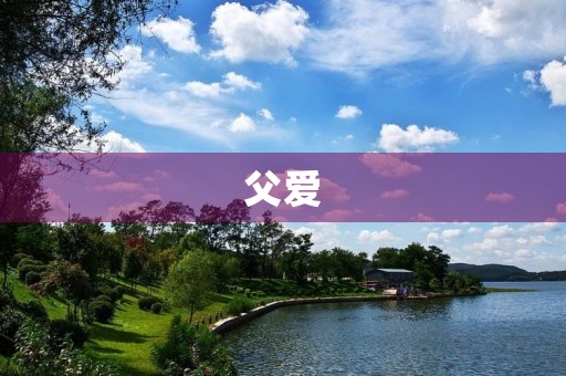 父爱