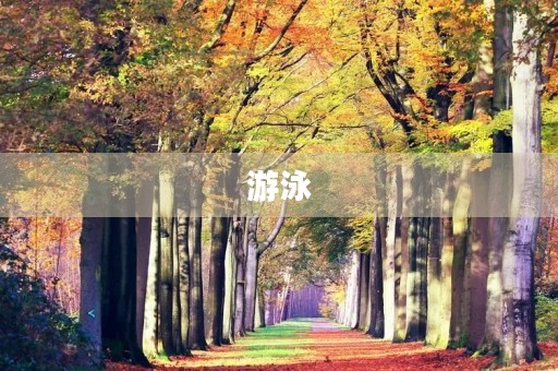 游泳 游泳