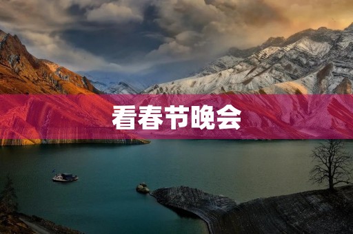 看春节晚会