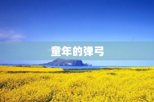 童年的弹弓 童年的弹弓