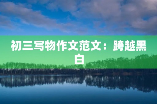 初三写物作文范文：跨越黑白