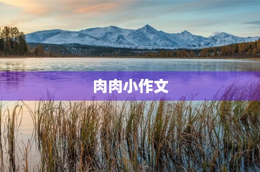肉肉小作文