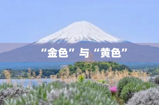 “金色”与“黄色”