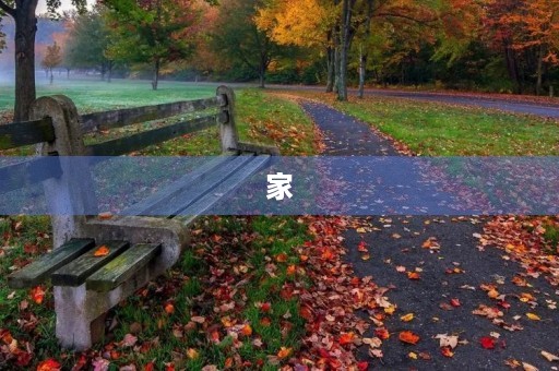 家 家