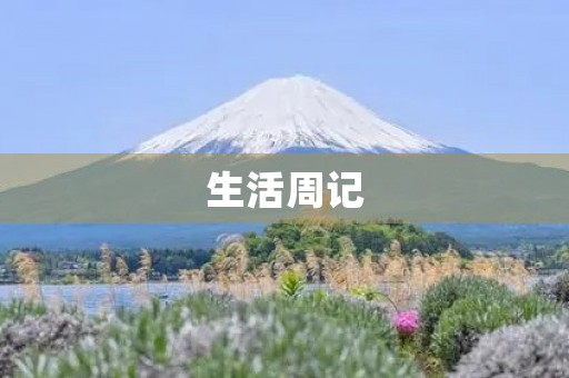 生活周记