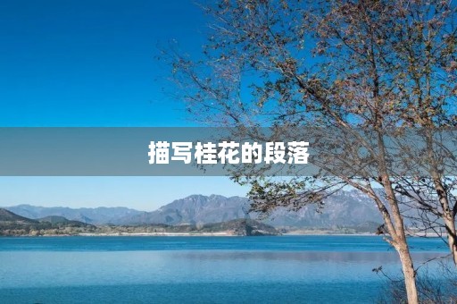 描写桂花的段落