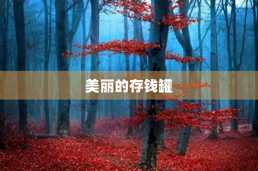 美丽的存钱罐