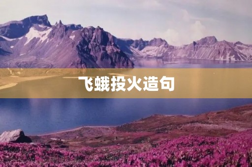 飞蛾投火造句 飞蛾投火造句