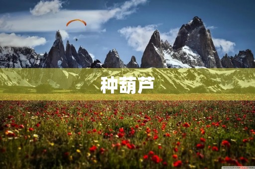 种葫芦 种葫芦