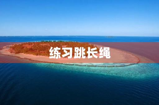 练习跳长绳 练习跳长绳