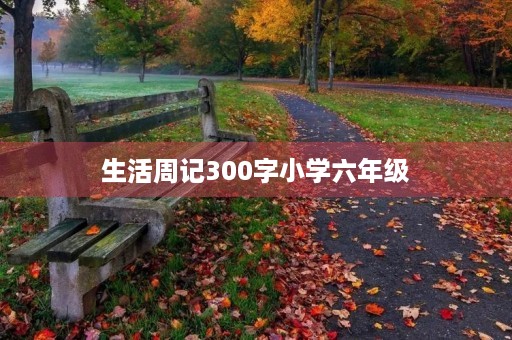 生活周记300字小学六年级 生活周记300字小学六年级