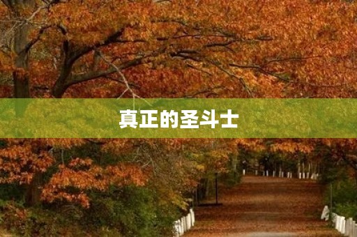 真正的圣斗士