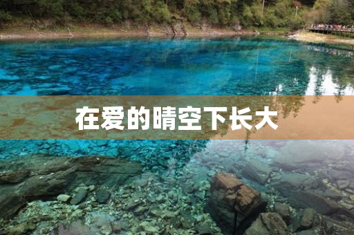 在爱的晴空下长大 在爱的晴空下长大