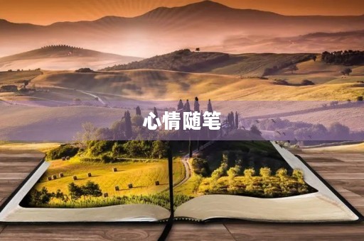 心情随笔 心情随笔