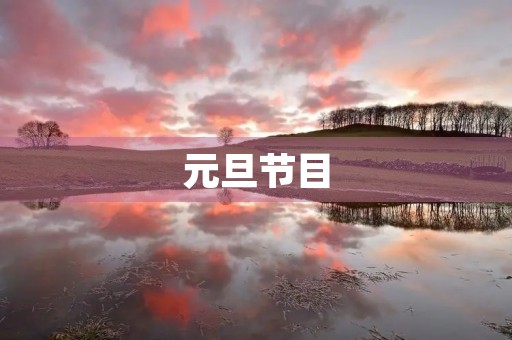 元旦节目 元旦节目