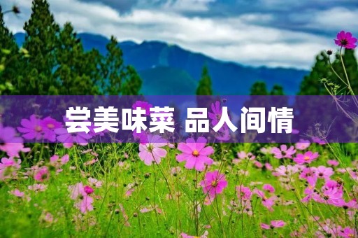 尝美味菜 品人间情 尝美味菜 品人间情