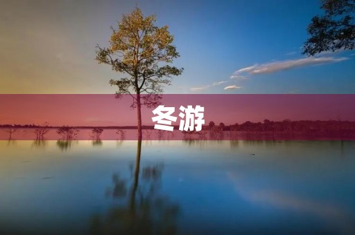 冬游 冬游