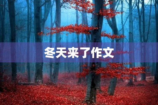 冬天来了作文