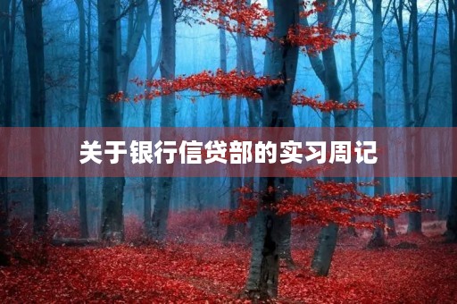 关于银行信贷部的实习周记
