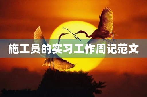 施工员的实习工作周记范文