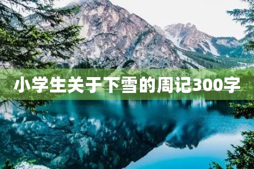 小学生关于下雪的周记300字 小学生关于下雪的周记300字