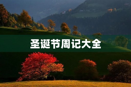 圣诞节周记大全 圣诞节周记大全