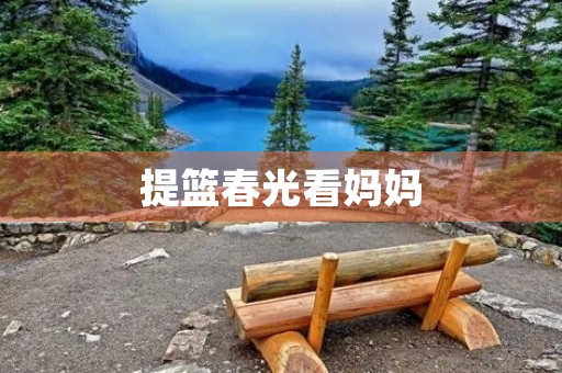 提篮春光看妈妈