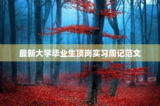 最新大学毕业生顶岗实习周记范文