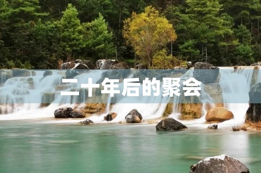 二十年后的聚会 二十年后的聚会