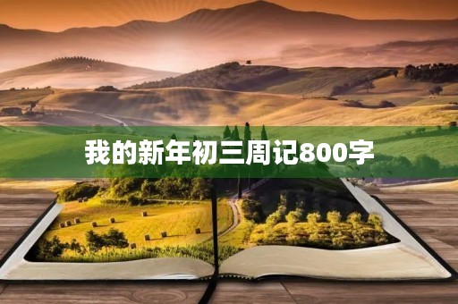 我的新年初三周记800字 我的新年初三周记800字