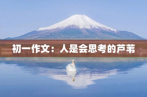 初一作文:人是会思考的芦苇 初一作文:人是会思考的芦苇