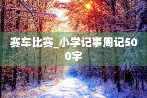 赛车比赛_小学记事周记500字