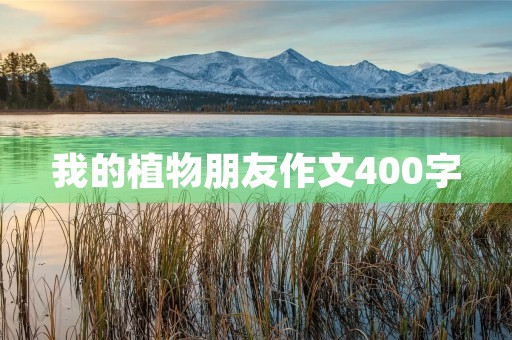 我的植物朋友作文400字 我的植物朋友作文400字
