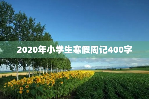 2020年小学生寒假周记400字 2020年小学生寒假周记400字