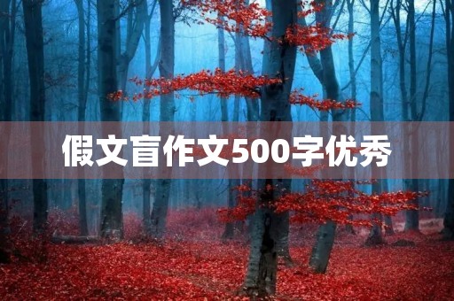 假文盲作文500字优秀