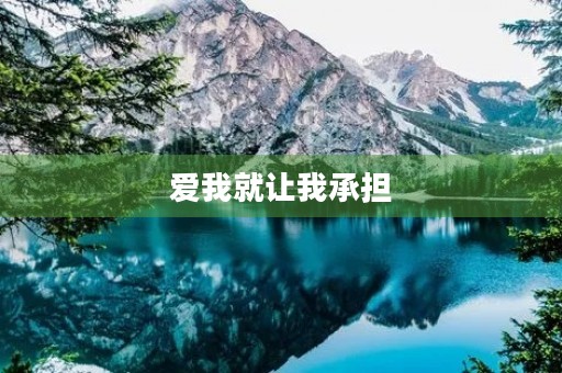 爱我就让我承担 爱我就让我承担