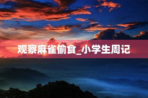 观察麻雀偷食_小学生周记 观察麻雀偷食_小学生周记