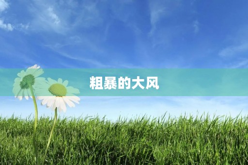 粗暴的大风 粗暴的大风