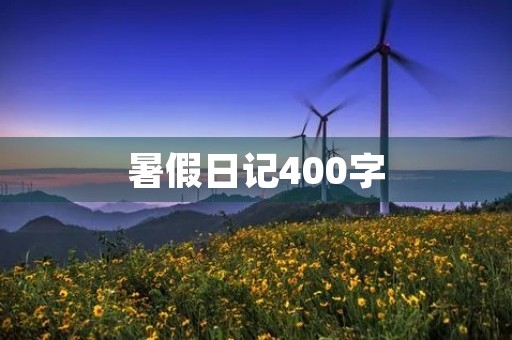 暑假日记400字