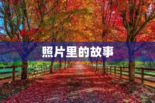 照片里的故事