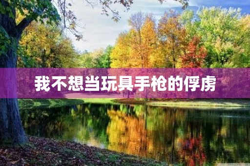 我不想当玩具手枪的俘虏 我不想当玩具手枪的俘虏