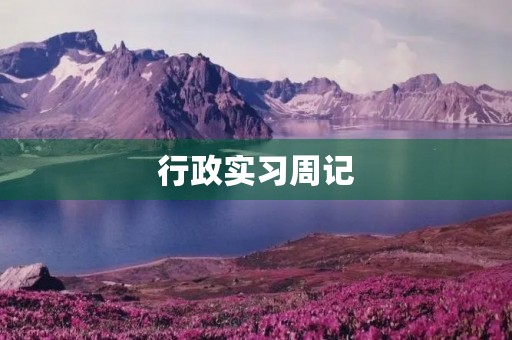 行政实习周记 行政实习周记
