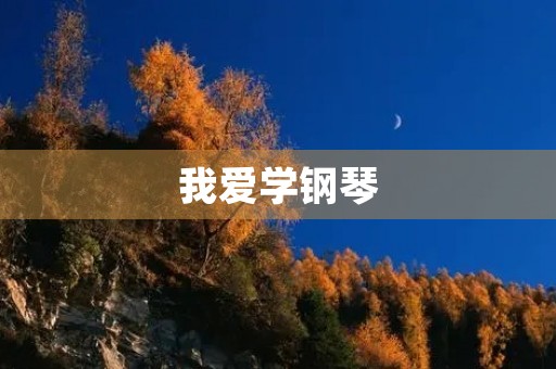 我爱学钢琴 我爱学钢琴