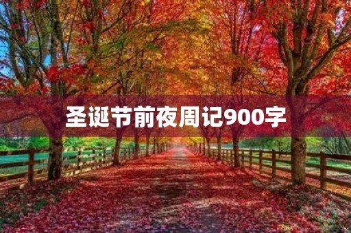 圣诞节前夜周记900字 圣诞节前夜周记900字