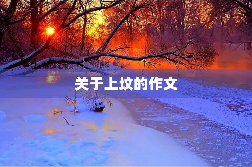 关于上坟的作文