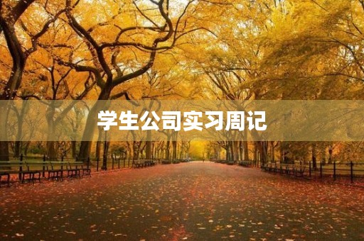 学生公司实习周记 学生公司实习周记