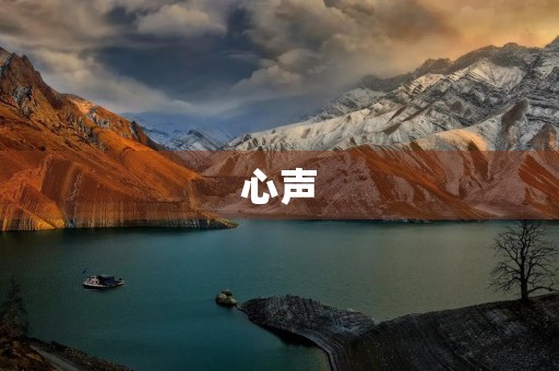 心声 心声