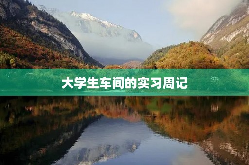 大学生车间的实习周记 大学生车间的实习周记