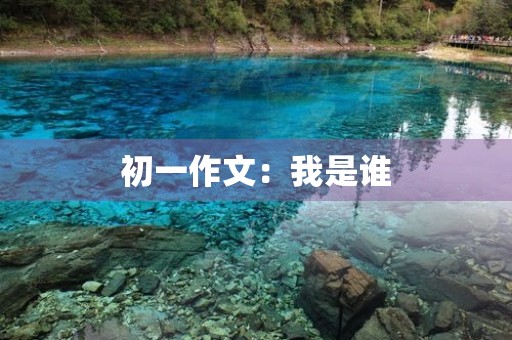 初一作文：我是谁